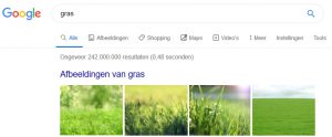 Afbeeldingen in Google zoekresultaten (SEO)